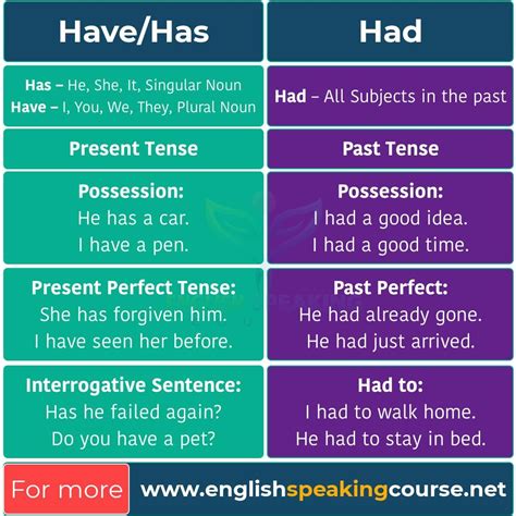 when to use have has and had.